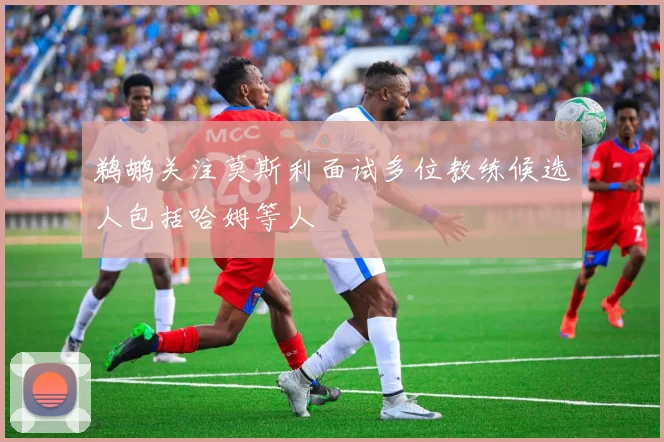 鹈鹕关注莫斯利面试多位教练候选人包括哈姆等人