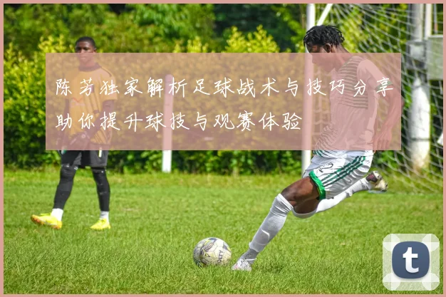 陈芳独家解析足球战术与技巧分享助你提升球技与观赛体验