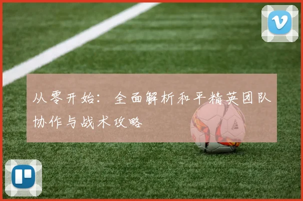 从零开始：全面解析和平精英团队协作与战术攻略